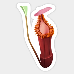 Nepenthes Edwardsiana | carnivorous plant | pitcher plant Sticker